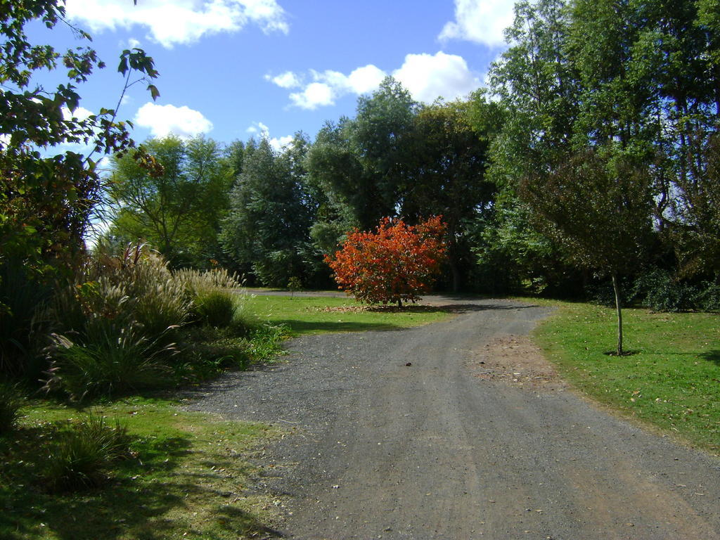 El Ranchito De Areco Villa San Antonio de Areco Buitenkant foto