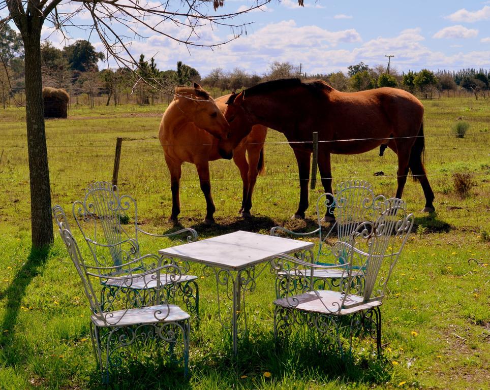El Ranchito De Areco Villa San Antonio de Areco Buitenkant foto